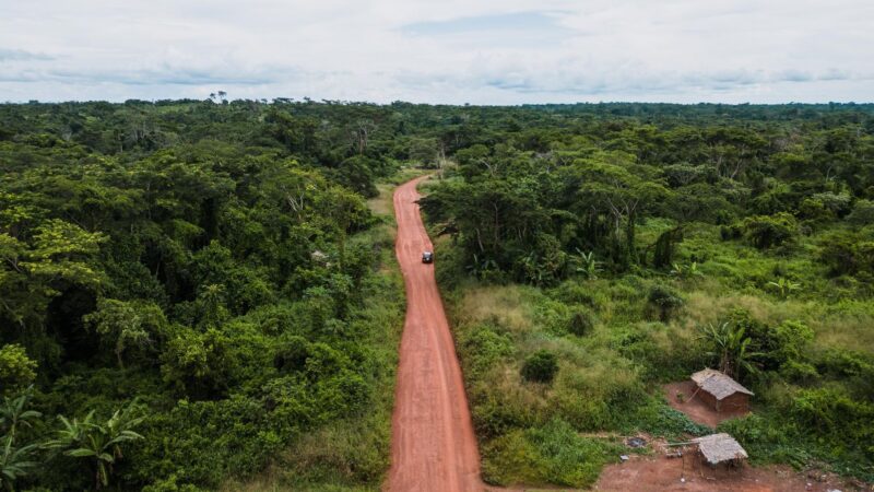 Cameroun : financements bad de 292 milliards fcfa menacés par des retards administratifs