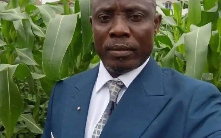 Cameroun : après Okala Ebode, Willy Mengue expulsé du MRC