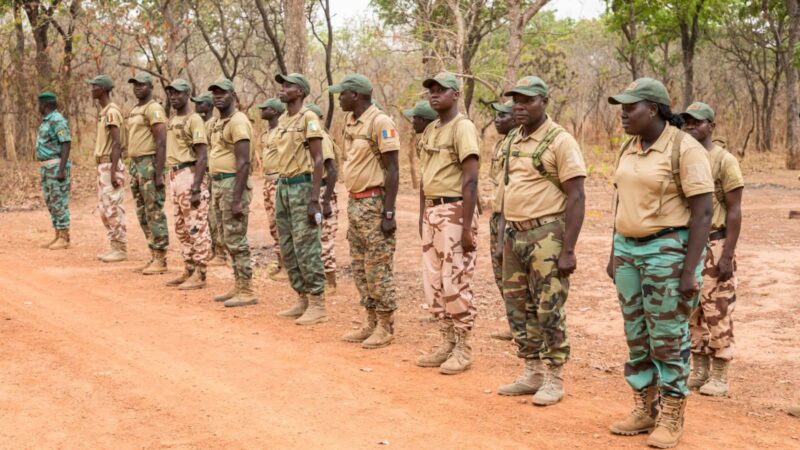 Tchad : les agents des eaux et forêts interdits de porter des attributs militaires
