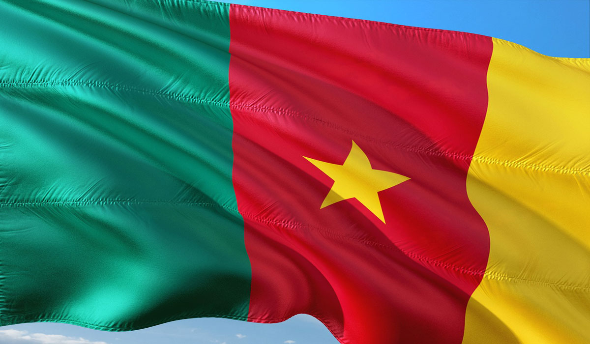 Passeport camerounais : pourquoi le Cameroun résiste au visa free en Afrique ?