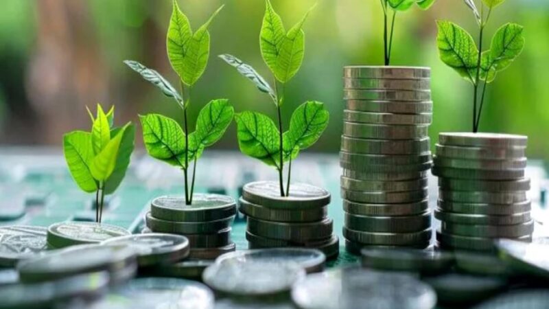 Maroc : une taxonomie verte pour accélérer la transition énergétique