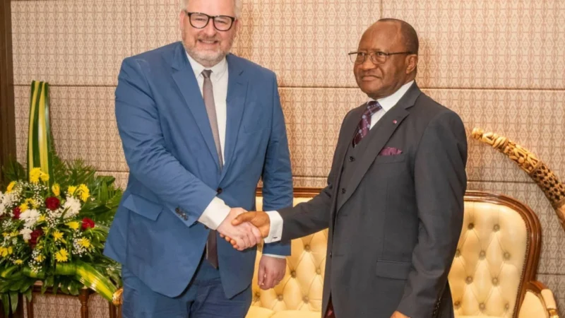 Renforcement des liens Cameroun-France avec théodore datouo et ronan le gluet