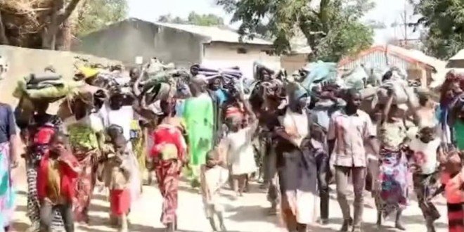 Désertification du mayo-tsanaga : quand boko haram détruit et l&rsquo;état reste inactif