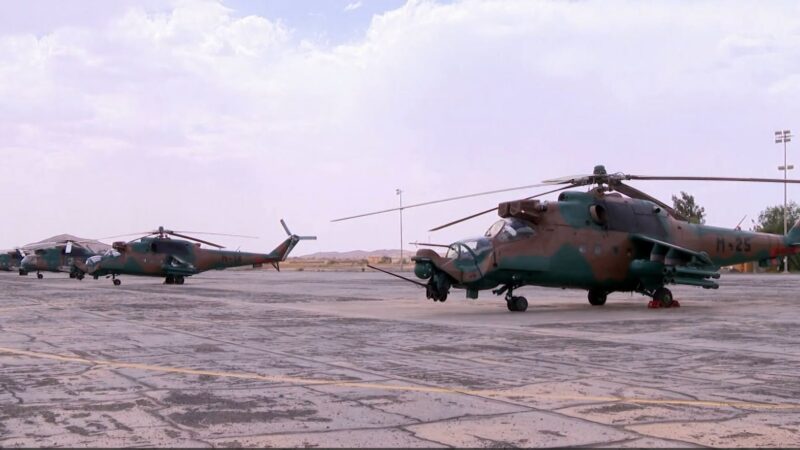 Algérie et Niger renforcent leur coopération militaire avec un don de quatre hélicoptères