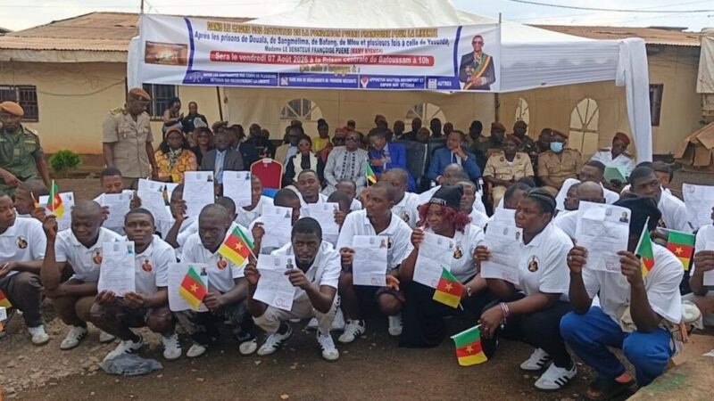 Libération de jeunes détenus au Cameroun : une ONG facilite leur sortie de prison