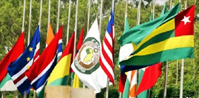 Togo : la société civile mondiale exige des sanctions contre lomè après une réforme controversée