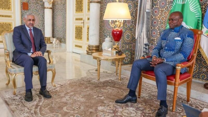 Gabon et bad : un partenariat stratégique pour des projets concrets