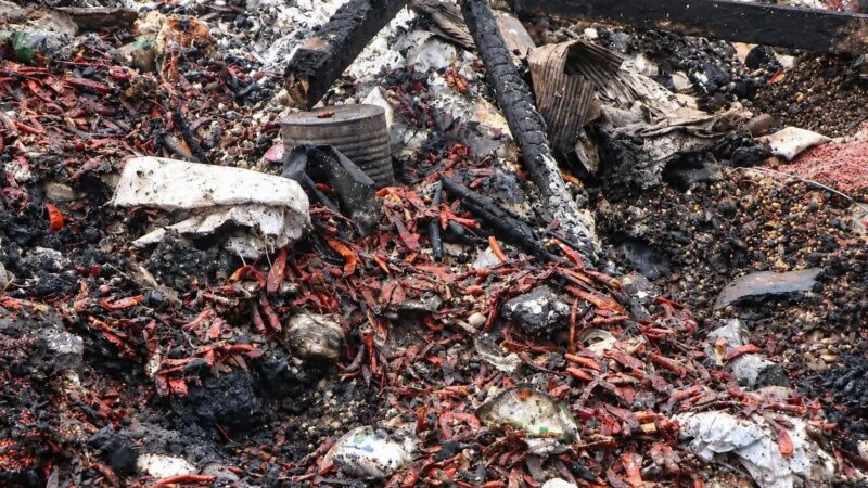 Dans la nuit à Kpalimé, un incendie dévaste le marché Château et ses étals