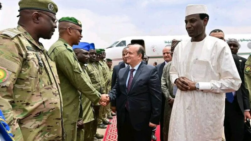 Fibre transsaharienne Algérie-Niger : après l&rsquo;inauguration, les réactions et les défis qui attendent le Sahel