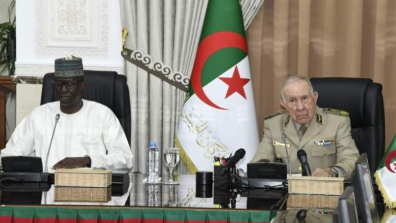 Coopération militaire algéro-nigérienne : cet accord peut-il vraiment changer la donne au Sahel ?