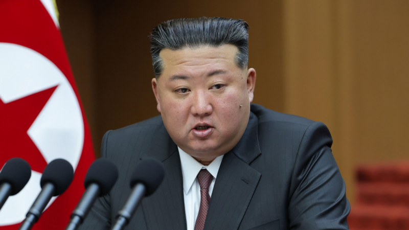 La Corée du nord peut-elle survivre à un départ soudain de kim jong-un ? l&rsquo;urgence de la situation