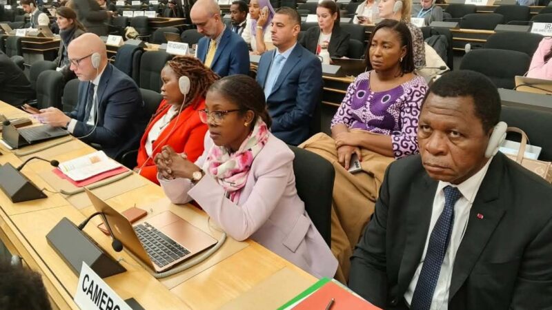 Après Genève : les retombées de l&rsquo;appel camerounais pour les réfugiés