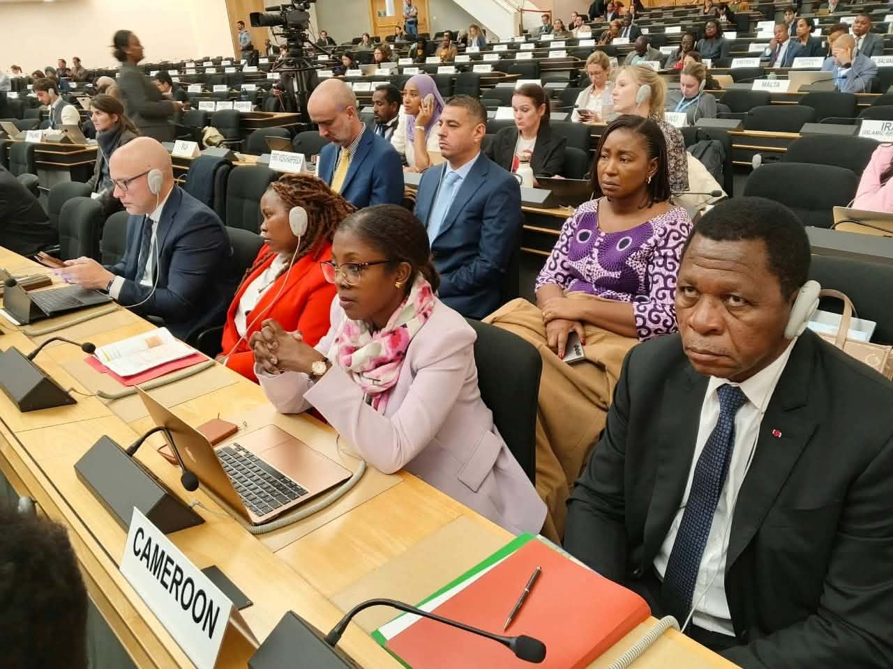 Après Genève : les retombées de l&rsquo;appel camerounais pour les réfugiés