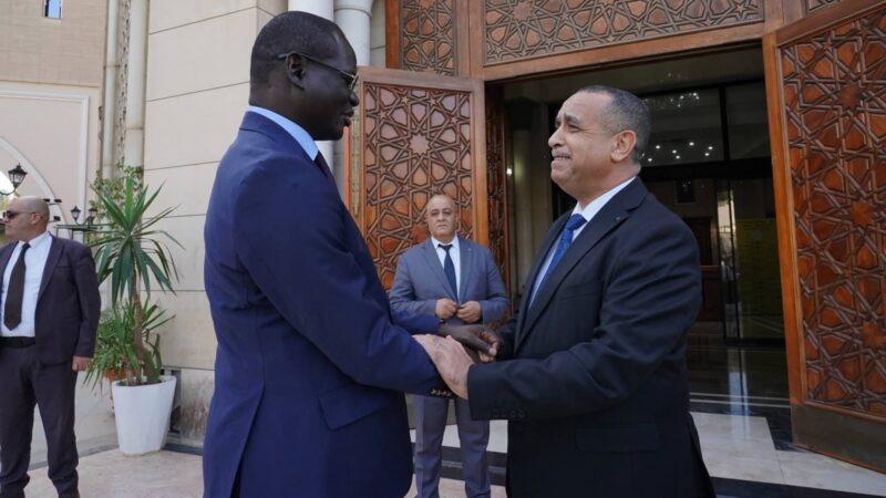 Sénégal-Algérie : les dessous d&rsquo;un rapprochement énergétique qui bouscule l&rsquo;Afrique de l&rsquo;Ouest